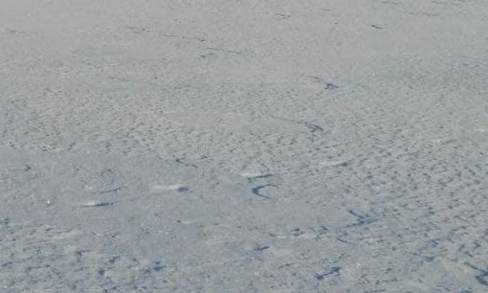 Житель Северодвинска полчаса пролежал в снегу, пока ему не вызвали «скорую»